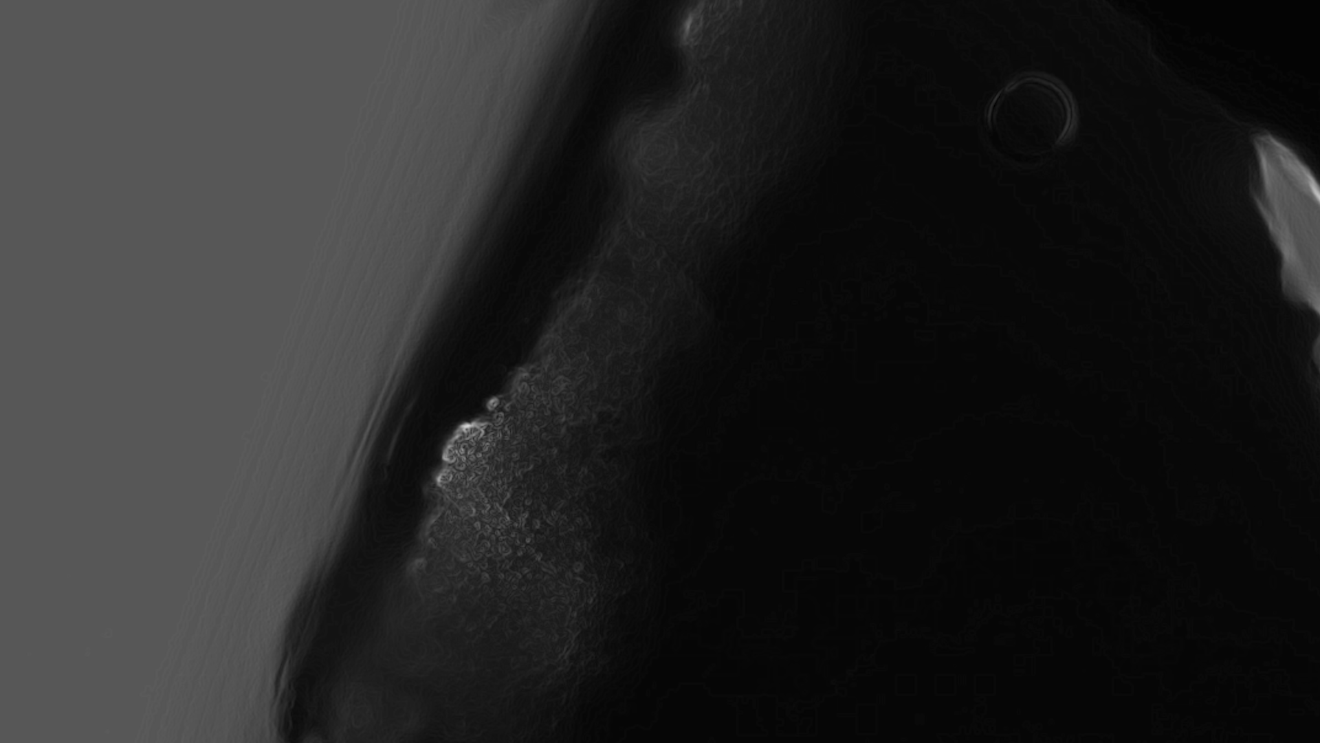 forêt digitale | 2020