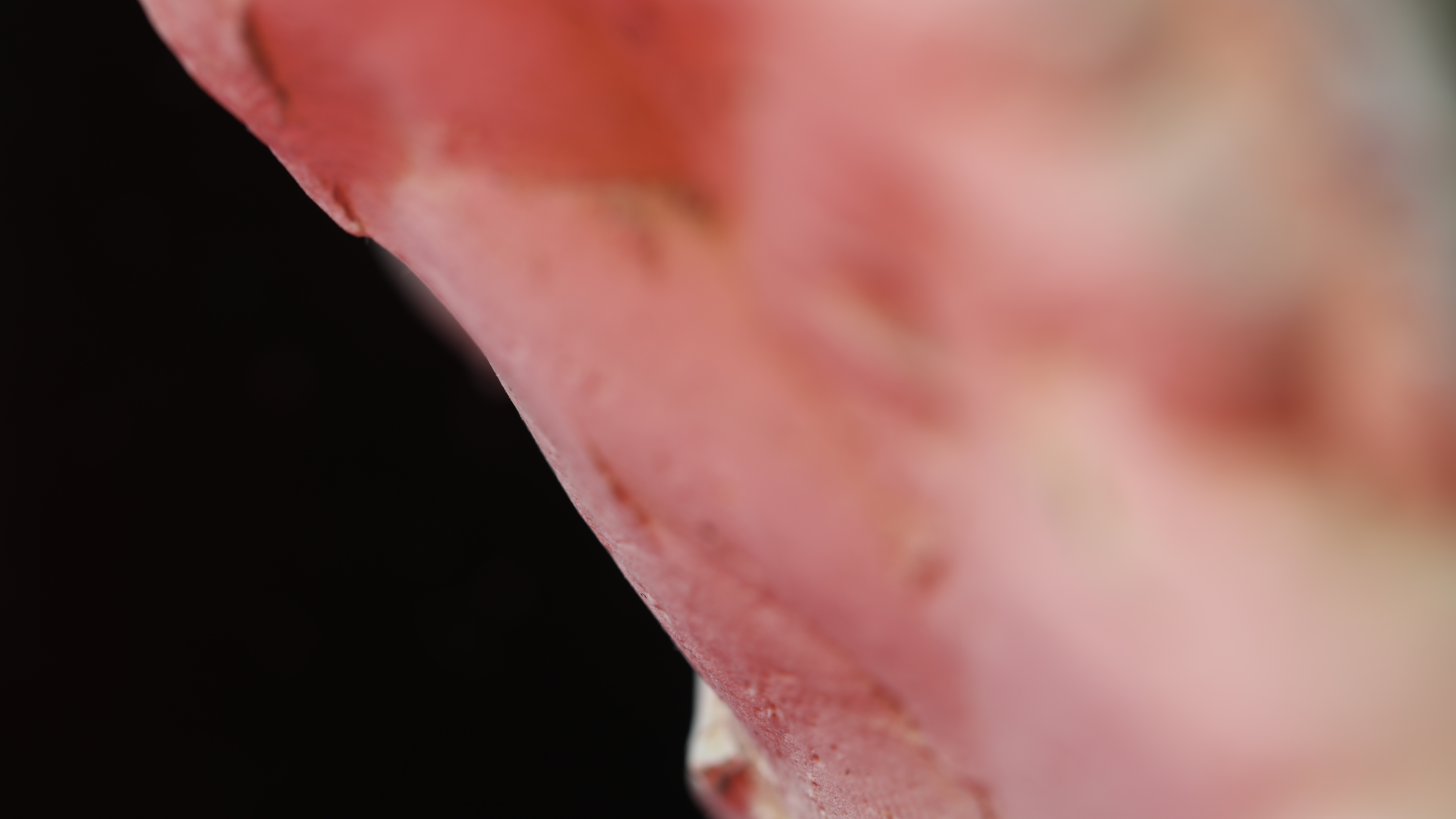 arelb_002_01_X1_0075