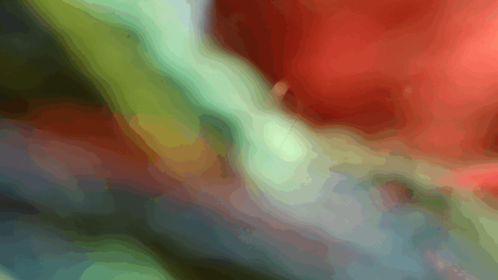 arelb_002_01_X1_0652