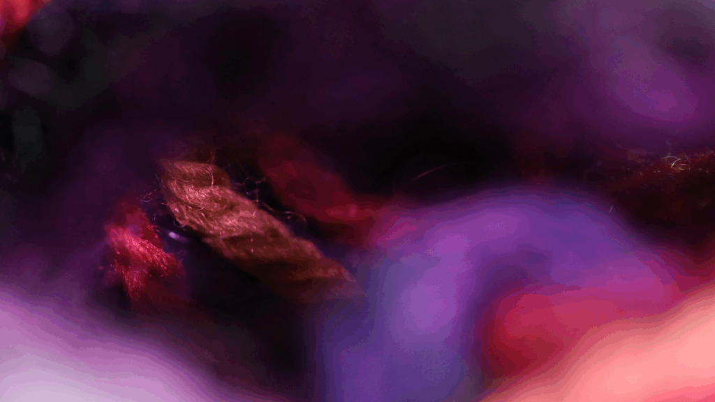 arelb_002_01_X1_0689