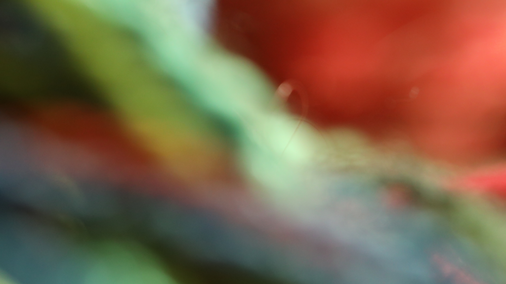 arelb_002_01_X1_0652