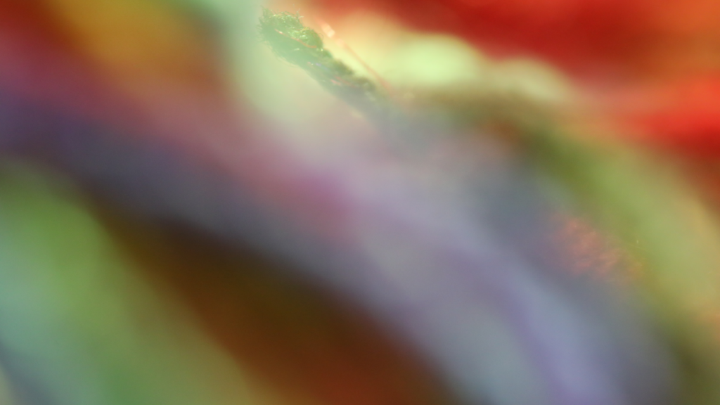 arelb_002_01_X1_0655